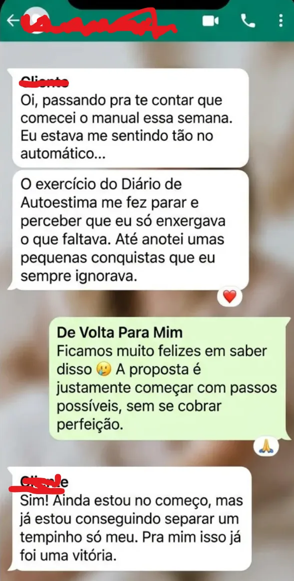 Captura real de conversa sobre começar o manual e o Diário de Autoestima